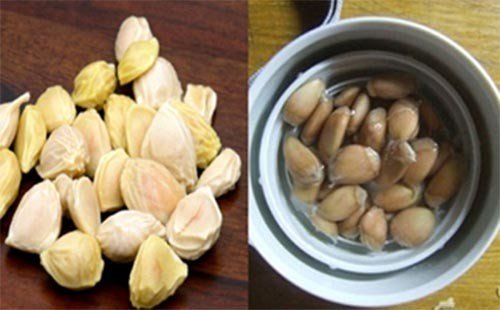 Bài thuốc dân gian chữa đau dạ dày với hạt bưởi