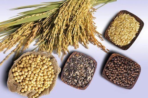 thực phẩm tốt cho dạ dày