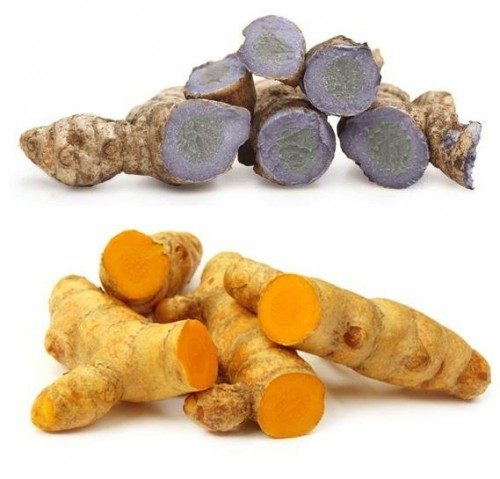 nghệ đen hay vàng tốt cho dạ dày