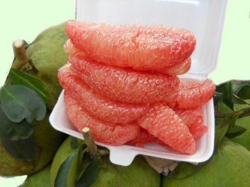 đau dạ dày có nên ăn bưởi