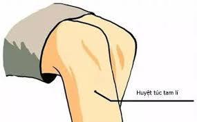 huyệt túc tam lý
