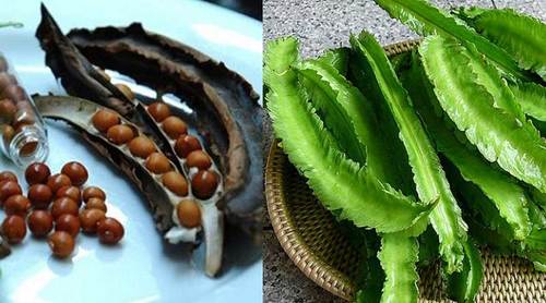 trị đau dạ dày bằng đậu rồng