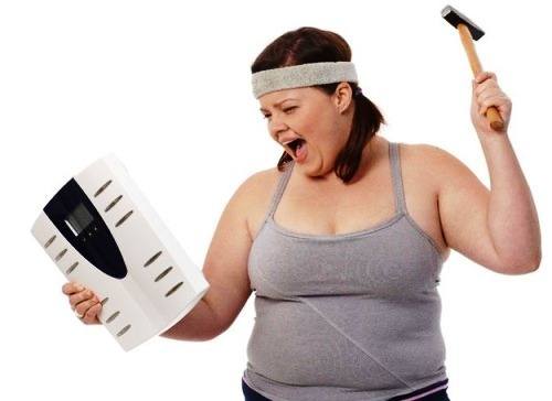 hệ vi khuẩn đường ruột và béo phì
