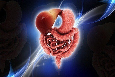 bí quyết để hệ tiêu hóa khỏe mạnh