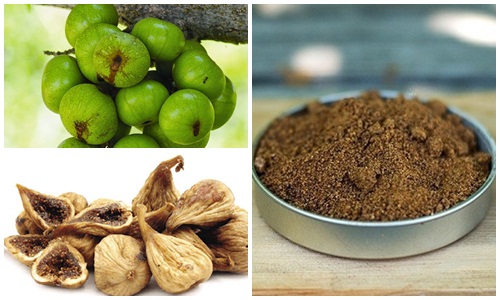 Chữa đau dạ dày bằng quả sung hiệu quả