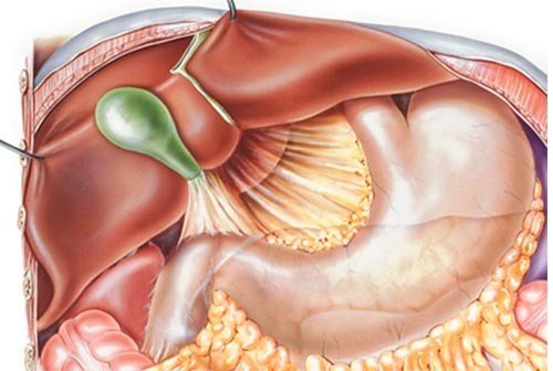 Những điều bạn nên biết về bệnh trào ngược dịch mật