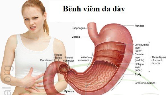 viem-da-day