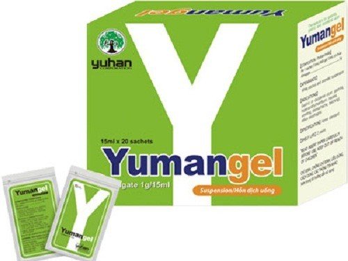 Thuốc dạ dày chữ Y trị đau thượng vị